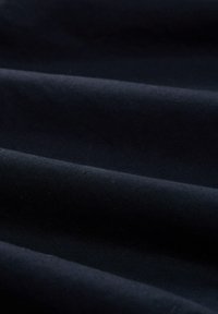 TOM TAILOR DENIM REGULAR MIT GUMMIBUND - Farmer rövidnadrágok - sky captain blue