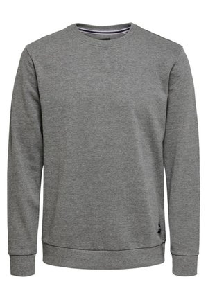 Sweat-shirt gris uni à manches longues et col rond, avec poignets et ourlet côtelés, en tissu doux.
