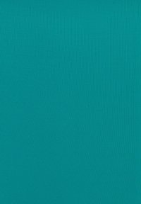 s.Oliver SPAIN - Bikinibroekje - türkis