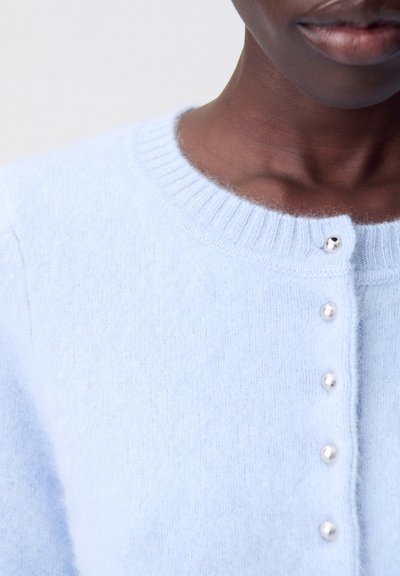 Cardigan in cashmere azzurro chiaro con colletto a coste e cinque chiusure a bottone in argento. Tessuto morbido, con una finitura leggermente pelosa.