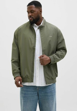 PLUS SIZE - Bomber Jacket - tea leaf