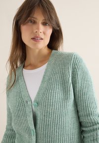 Svetle zelený pletený cardigan s texturovaným vzorem, v výstřihu do V a dvěma světle modrými knoflíky vpředu. Nositý přes bílou košili.