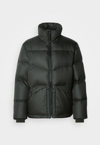 Pasirinkta, pineneedle