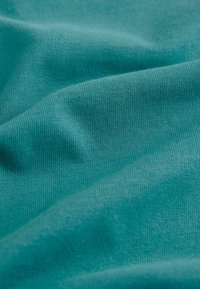 Next SIMPLE SHORT SLEEVE - Tričko s potlačou - green fish