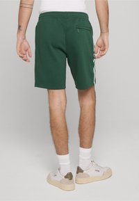 Groene sportshorts gemaakt van zacht stof, met een tailleband met trekkoord, zijzakken en witte strepen langs de zijkanten.