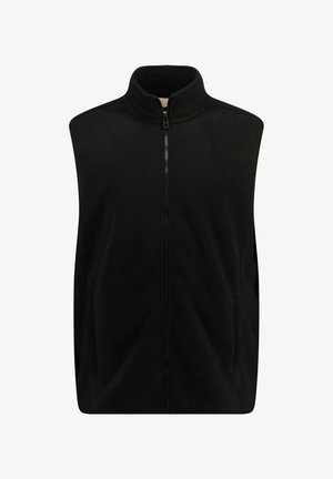 Chaleco de forro polar negro con un cuello alto y cremallera frontal. Textura suave sin patrones ni acentos visibles. Diseño sencillo sin mangas.