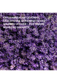 Miniatyrbild 3