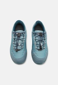 Lichtblauwe wandelschoenen met een gestructureerde bovenkant, elastische veters en een rubberen zool met een teenkap voor bescherming. Waterdichte Gore-Tex-label zichtbaar.