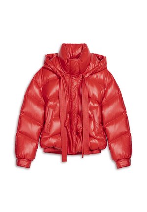 Red puffer jacket with a glossy finish, featuring a high collar, drawstring hood, and ribbed cuffs. Boxy silhouette with quilted panels.