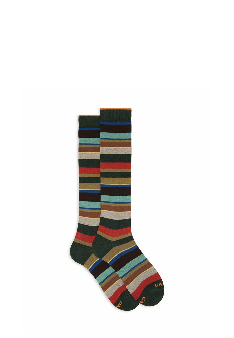 Un paio di calze al ginocchio con righe orizzontali in verde, blu, rosso, marrone, beige e nero su uno sfondo bianco.