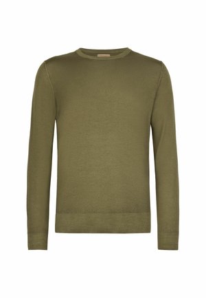 Olivgrüner Pullover mit Rundhalsausschnitt und langen Ärmeln, Rippbündchen an den Ärmelenden und Saum, dargestellt vor weißem Hintergrund.