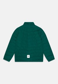 Reima UUMAJA UNISEX - Giacca invernale - deeper green