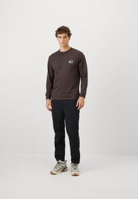 Brown long-sleeve shirt with a small blue mountain graphic, paired with black pants and light gray hiking shoes with accents.