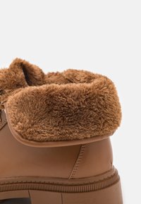 Botte cheville brune avec un col en fourrure douce et duveteuse. Fabriquée en cuir lisse, avec un talon épais et une semelle texturée pour une meilleure adhérence.