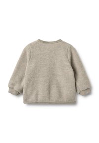 Felpa grigia chiara in lana, con maniche lunghe, scollatura rotonda e polsini a coste. Texture morbida con un aspetto leggermente peloso sulla superficie.