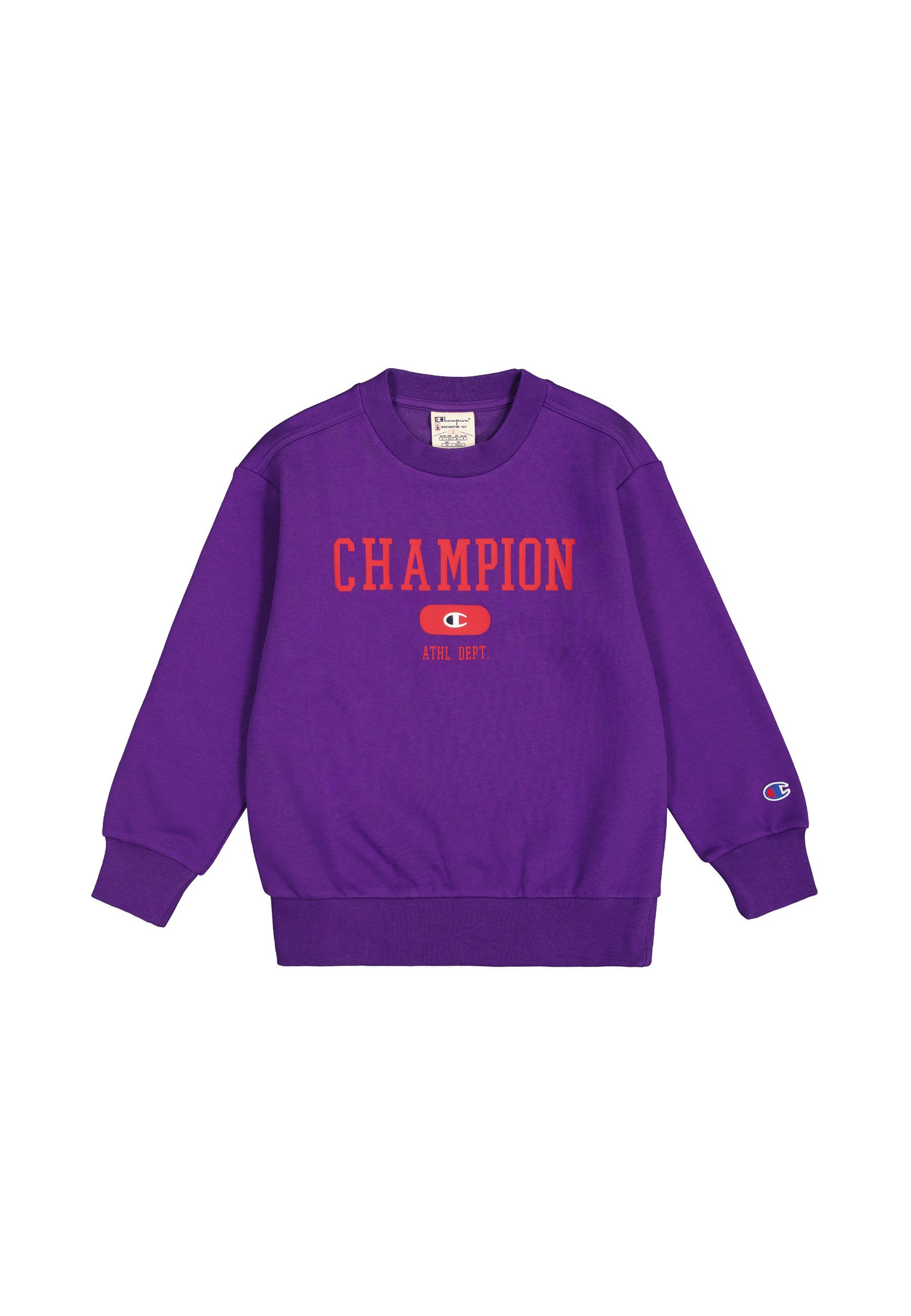 Champion Rochester CREWNECK FIELD OF PLAY Sweatshirt purple