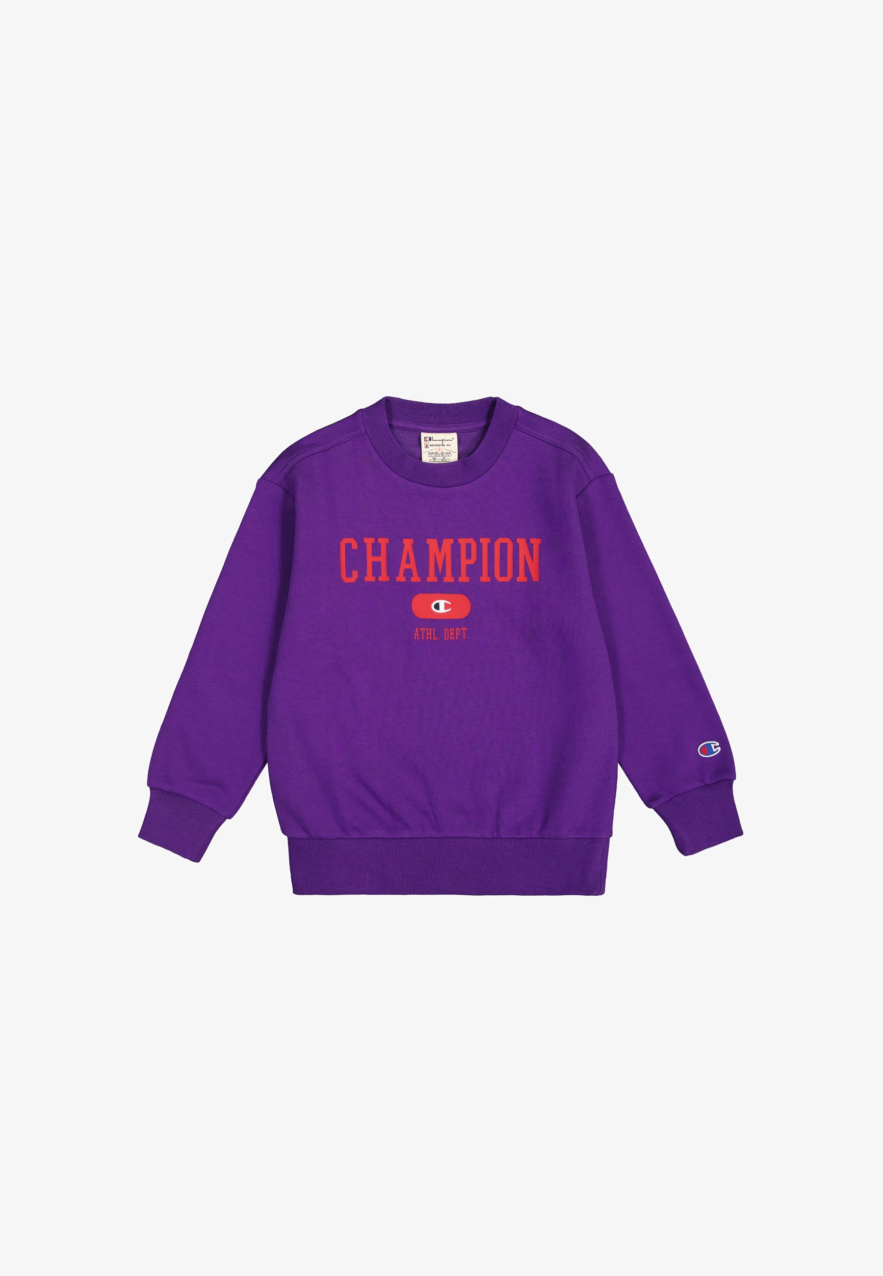Champion Rochester CREWNECK FIELD OF PLAY Sweatshirt purple