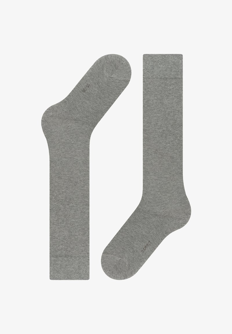 Esprit BASIC PURE - Kniestrümpfe - light greymel