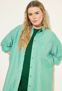 Camisa de botones de rayas verdes y blancas con mangas cortas y un bolsillo en el pecho, superpuesta sobre una camiseta verde. Textura suave.