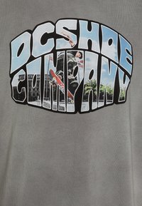 Gray T-shirt featuring a large graphic print of "DC Shoe Company" in bold, stylized letters with skateboarding images and blue sky accents.
