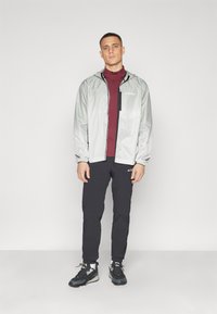 Adidas Terrex XPERIOR LIGHT WINDWEAVE - Neperpučiamoji striukė - silver green