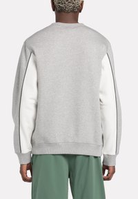 Sweatshirt gris à manches longues. Panneaux latéraux blancs avec des détails en piping noir. Poignets et ourlet côtelés. Texture douce. Port é avec un pantalon vert.