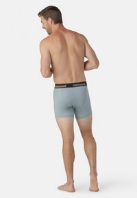 Smartwool BOXED - Boxerkalsong - lead