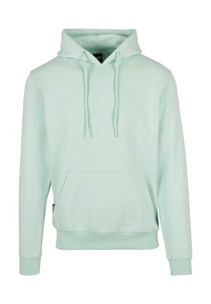 Cayler & Sons Hoodie - birds egg green