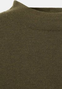 Maglione a maglia verde oliva con collo a giro alto, caratterizzato da una texture liscia e un motivo a coste uniforme su tutto il tessuto.