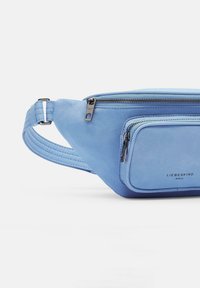 Hellblaues Hüfttasche aus weichem Stoff, mit zwei Reißverschlussfächern und einem verstellbaren Riemen, mit dezentem Branding auf der Vorderseite.