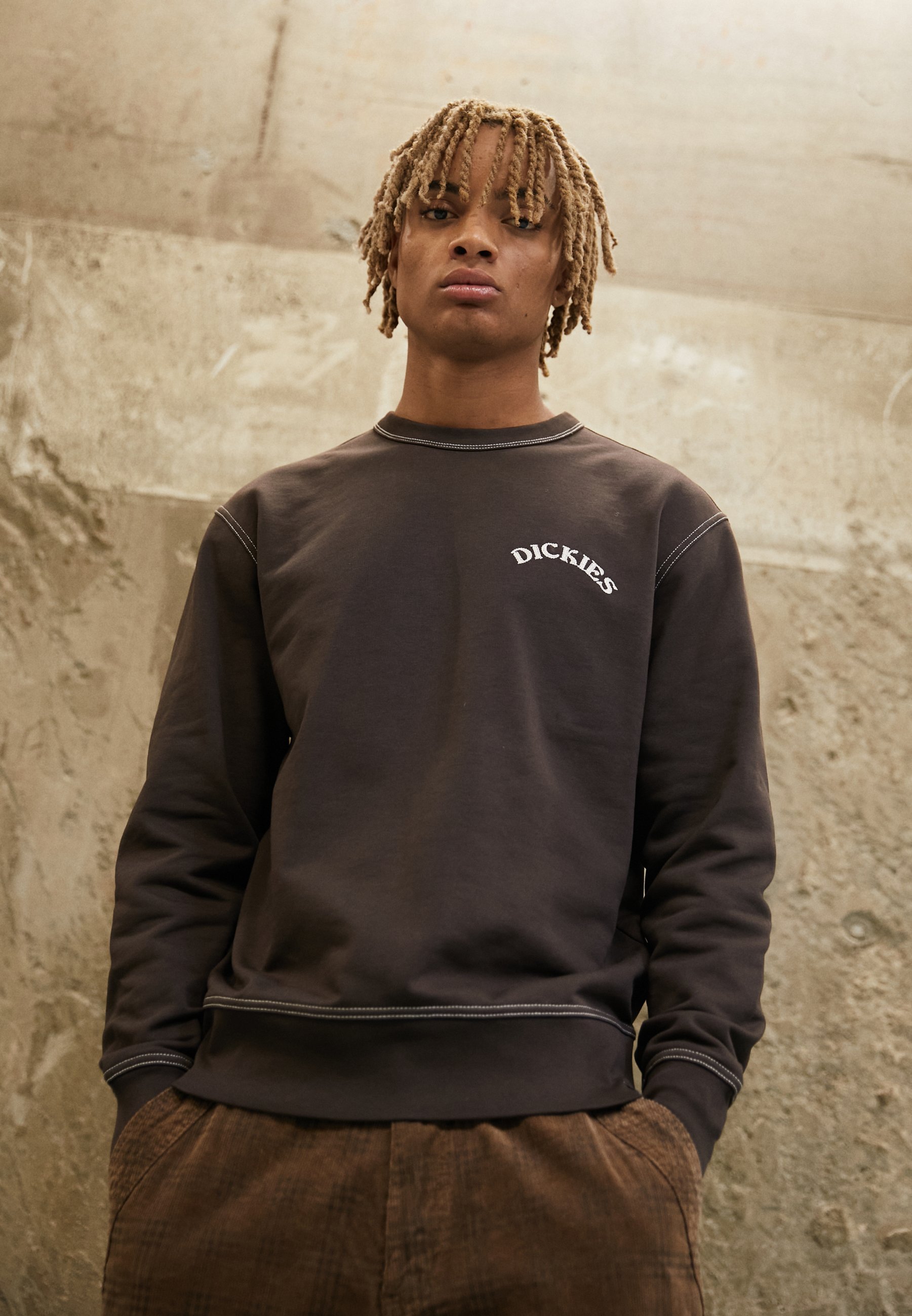 Dickies BEAVERTOWN - Sweatshirt - dark brown/marron foncé - ZALANDO.FR