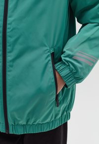 Groene lichtgewicht jas met een gladde textuur, ritssluiting aan de voorkant, elastische manchetten en een ritzak aan de zijkant; heeft drie grijze strepen op de mouw.
