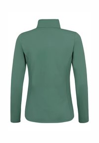 Groene jas met lange mouwen en een hoge kraag, gezien van achteren, met aansluitende naden langs de zijkanten en mouwen.