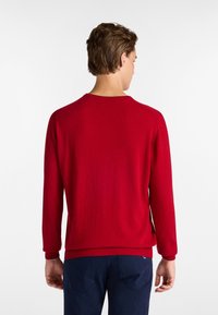 Red knitted sweater with a crew neck, long sleeves, and a ribbed hem. Smooth texture, simple design, viewed from the back.