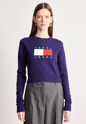 SPARKLE FLAG SWEATER  - Πουλόβερ - nocturnal purple
