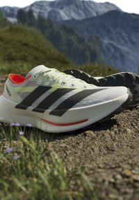 Weiße Adidas Terrex Trailrunning-Schuhe mit schwarzen Streifen, die auf einem Erdweg mit Gras und Bergen im Hintergrund liegen.