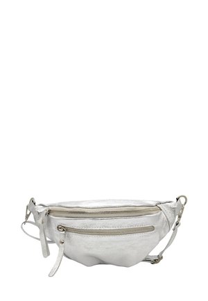 CHIC PETIT BANANE - Sac banane - argent
