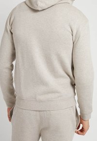Hellgraue Kapuzenjacke aus Baumwollmischung, mit weicher Textur, Kängurutasche und verstellbarem Kordelzug. Nahtdetails an den Seiten.