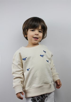 Felpa crema con ricamo di dinosauro blu, tessuto testurizzato, polsini e orlo a coste. Indossata con pantaloni chiari.