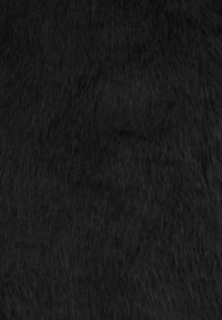 Gros plan sur la texture d'un pelage animal noir avec des mèches denses, douces et légèrement ondulées.