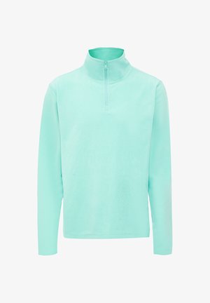 Muntgroene, lichte fleece pullover met een kwart ritssluiting, lange mouwen en een zachte textuur. Eenvoudig ontwerp, geen patronen of zichtbare hardware.