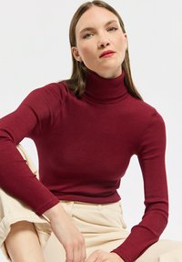 Burgunderfarbener Rollkragenpullover mit gerippter Textur, taillierter Schnitt, lange Ärmel, kombiniert mit hellfarbigen Hosen, minimalistischem Stil.