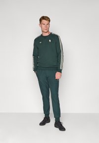 Camisola verde de algodão com riscas brancas, apresenta logótipo ao peito; combinada com calças de treino a condizer, também com riscas e logótipo. Ténis desportivos pretos.