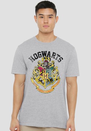 Young man wearing a light gray T-shirt with a large colorful Hogwarts crest and the word "HOGWARTS" in bold black letters above.