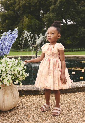 Next, REGULAR FIT - RUFFLE COLLAR  - Hverdagskjole - pink floral
