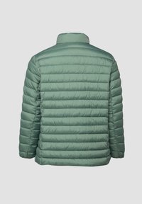 Zielona pikowana kurtka puchowa z poziomym przeszyciem, długimi rękawami i stójką, pokazana od tyłu na neutralnym tle.