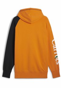 Felpa con cappuccio caratterizzata da un corpo arancione con maniche nere, polsini a costine e la scritta "Carrots" stampata in bianco lungo il braccio.