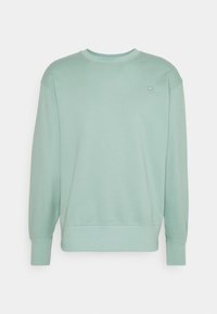 Mint green sweatshirt with a crew neck, ribbed cuffs, and hem. Features a small logo on the chest. Made from soft cotton material.