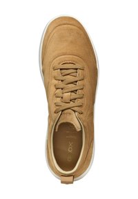 Baskets en daim beige avec bout rond, lacets plats et semelle en caoutchouc blanche. Caractéristiques d'une doublure en tissu et d'un logo en relief sur le côté intérieur.