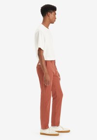 Pantalons en coton couleur rouille avec une coupe droite, associés à un t-shirt blanc à manches courtes. Comprend des poches arrière et un matériel minimal.